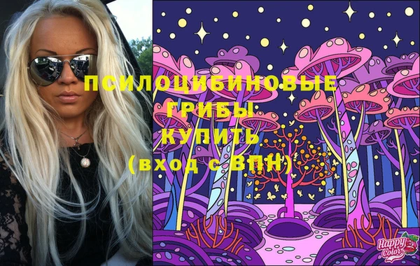 гашик Алзамай