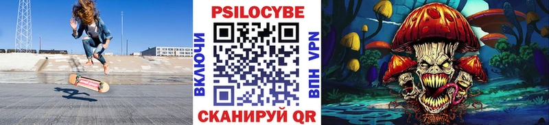 купить   Алзамай  Галлюциногенные грибы прущие грибы 